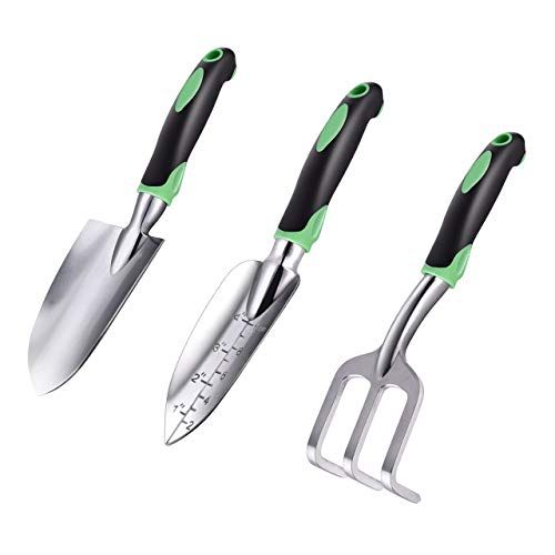 Start that garden you’ve been thinking about with these expert-approved ...