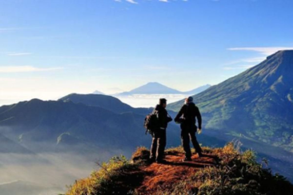 Tempat Camping Terbaik di Wonosobo: Nikmati Pemandangan Gunung yang Mengagumkan