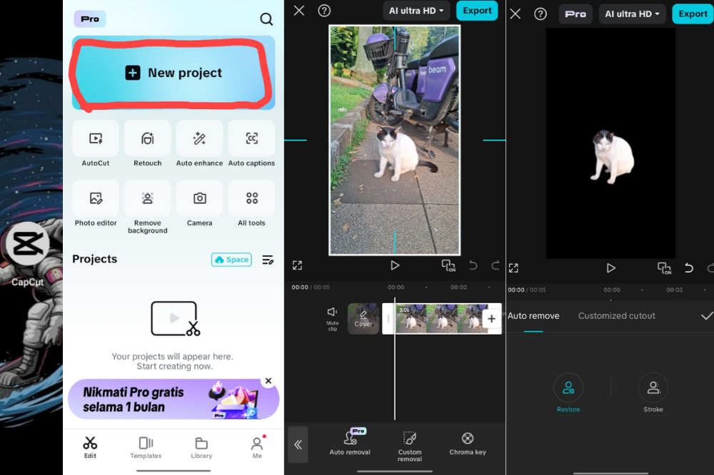 Cara Mudah Hapus Latar Belakang Avatar Anda di CapCut