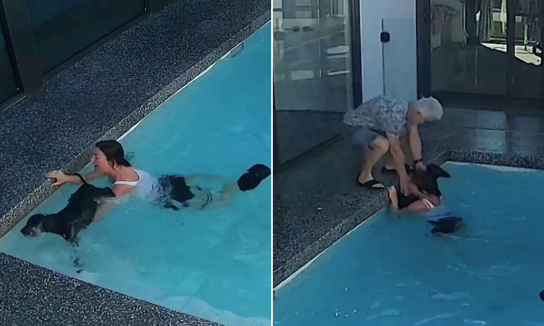 Moment dog owner jumps into pool to save clumsy pooch... and you won't