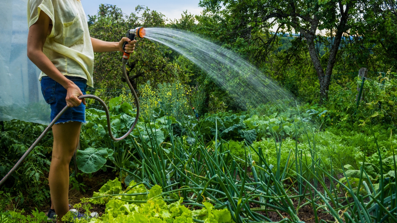 9 habits that make homesteading less overwhelming