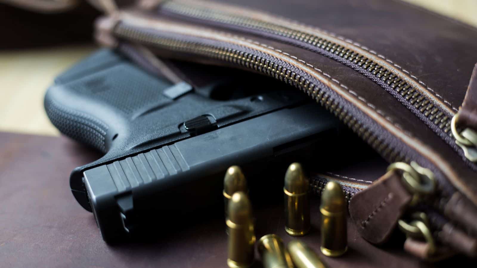 Gun Owners Beware 15 States That Can Legally Take Your Firearm