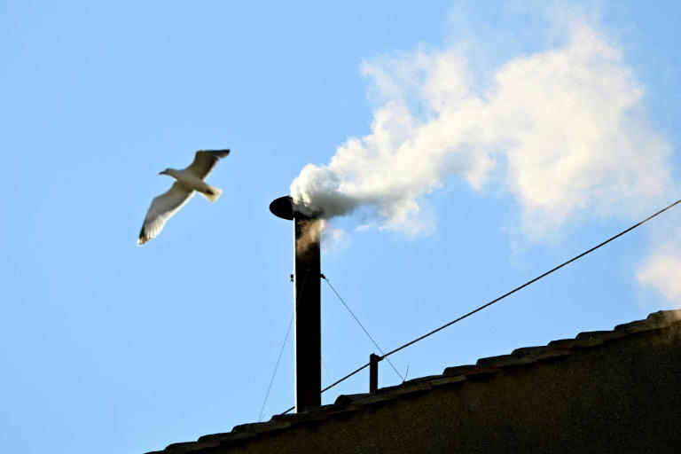 Una gaviota sobrevuela la chimenea de la Capilla Sixtina, en Ciudad del Vaticano, mientras el humo blanco anuncia que los cardenales han elegido al nuevo papa el 8 de mayo de 2025