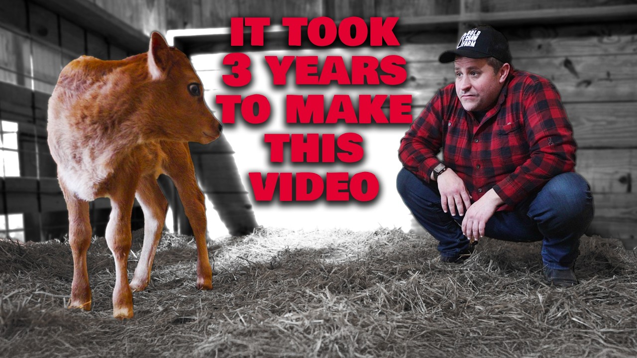 Transform your homestead strategy today
