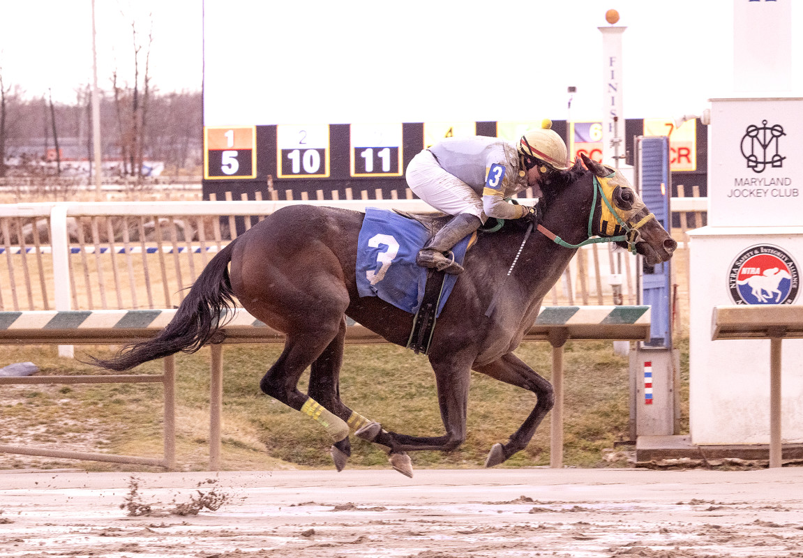 Breeders’ Cup Distaff Third-Place Regaled Tries To End Year With A Win ...