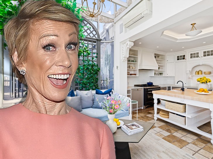 Barbara Corcoran Lists Manhattan Apartment for 12 Million(00)