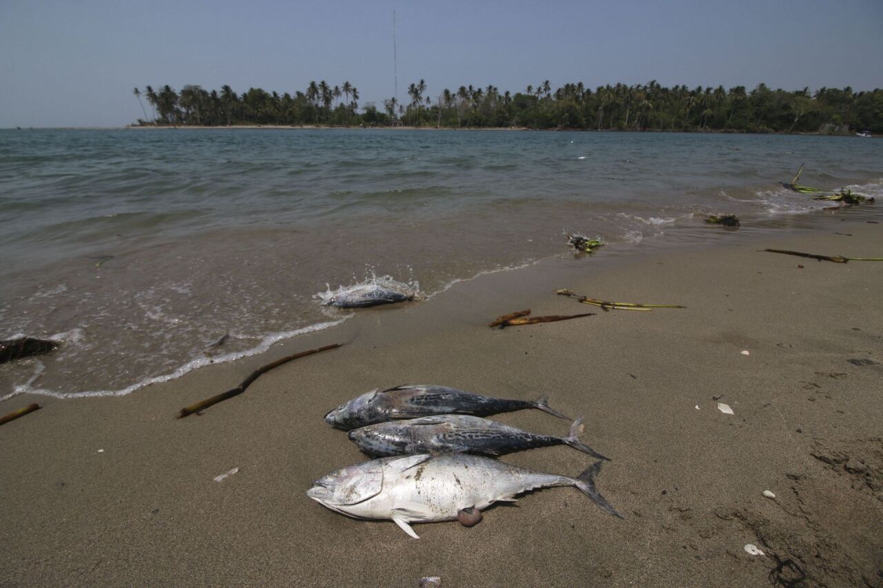 Semarnat supervisará a Pemex por derrame en terminal que conecta con ...