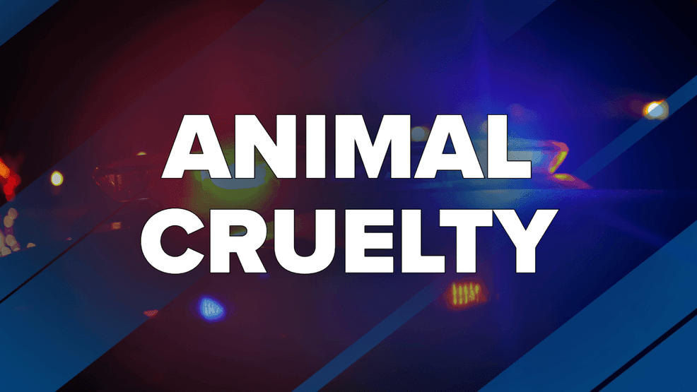Harwood man charged with animal cruelty after allegedly shooting
