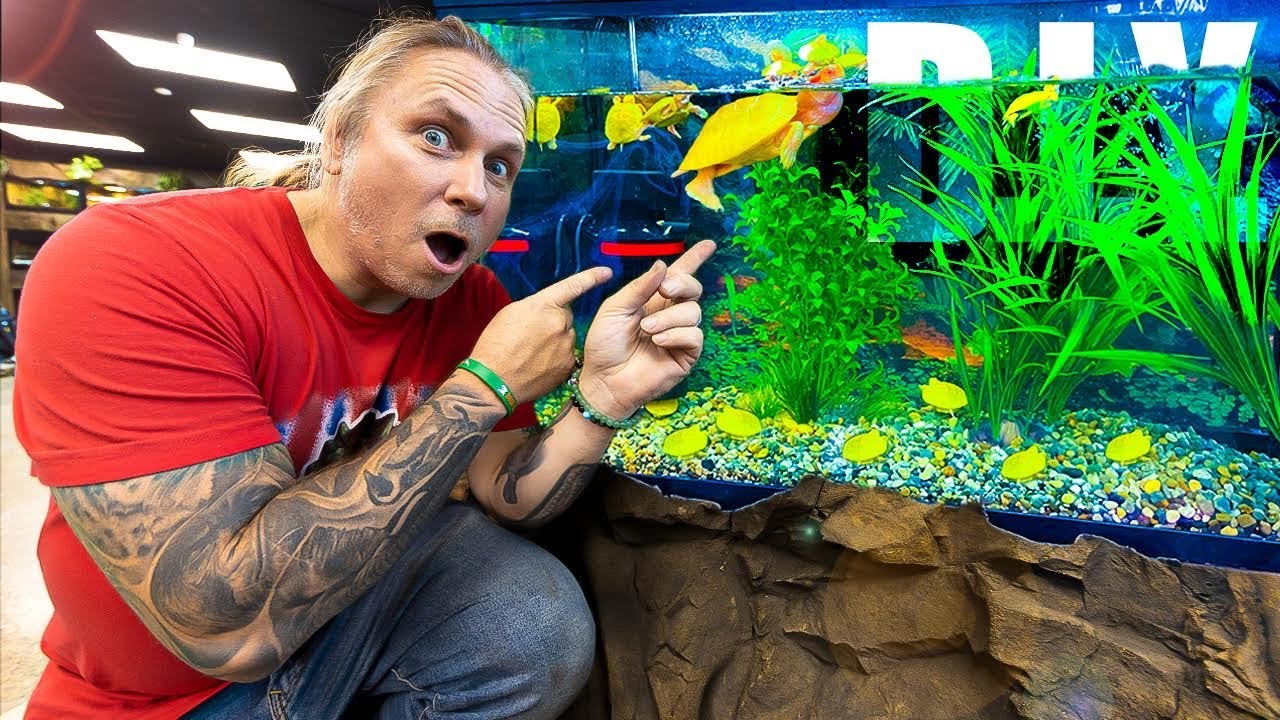 Building a custom tank for our albino turtles