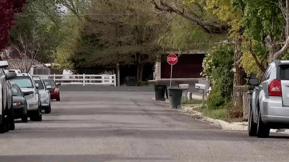 West Valley mom charged with attempted murder, accused of trying to