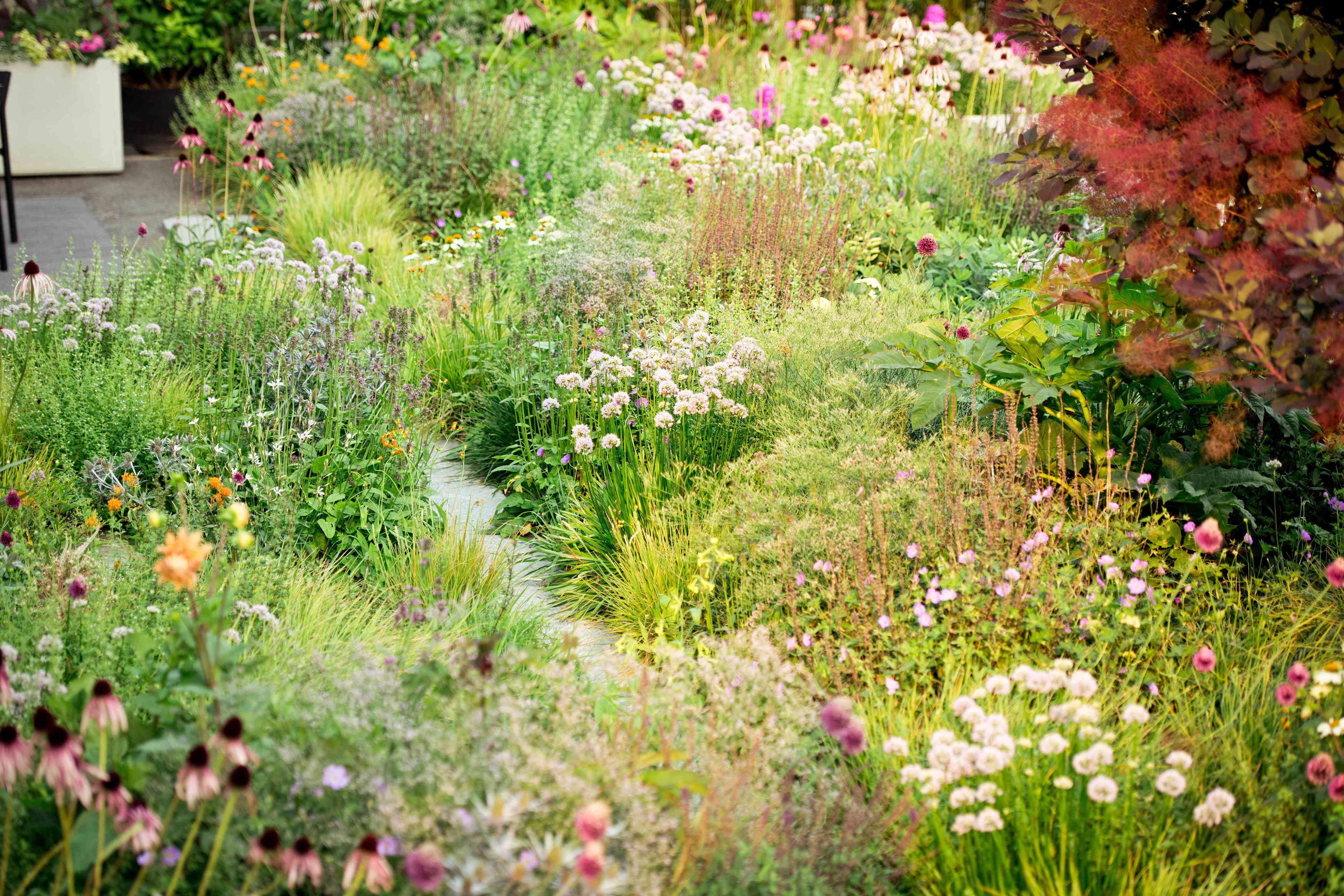 6 reasons trendy chaos gardening isn't worth the hype, according to experts