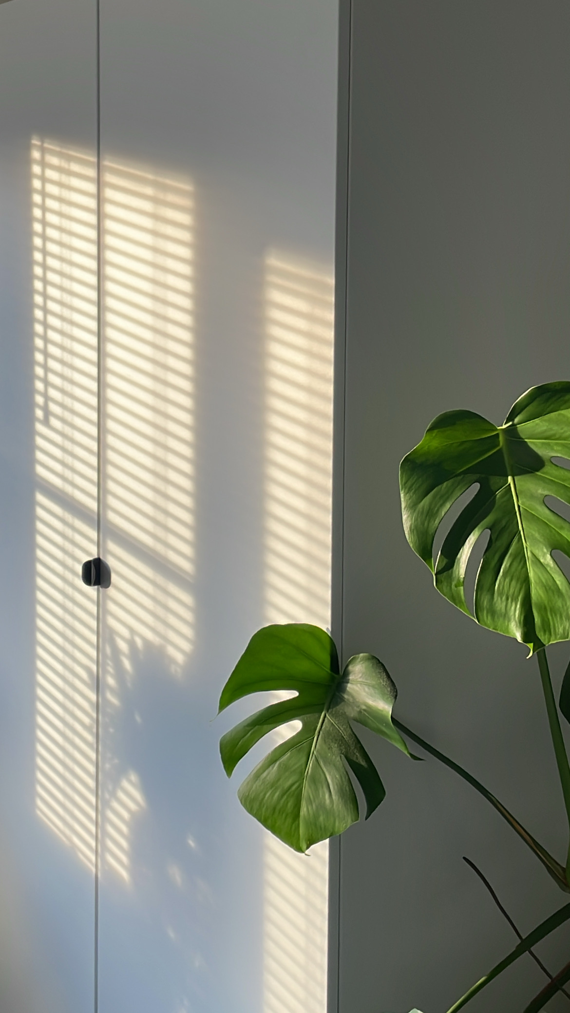 Nightly Reset Routine