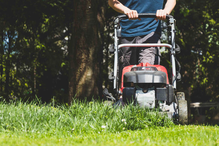 The one simple change to make each time you mow for a better-looking lawn