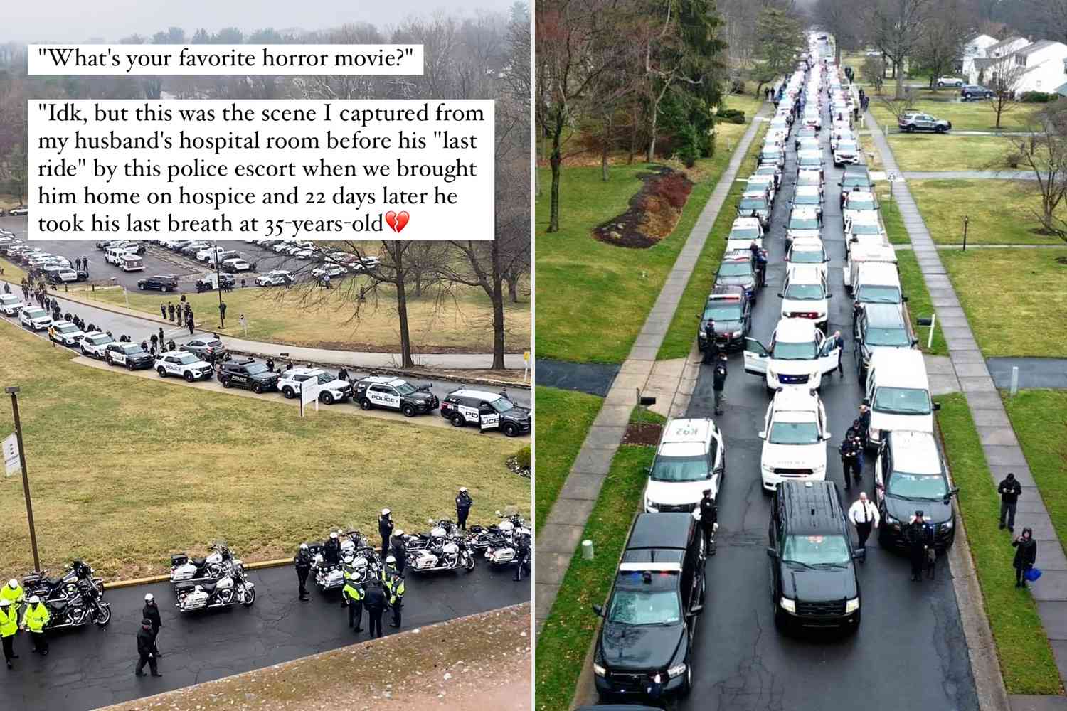 K9 Officer, 35, Dies After Unexpected Reaction to Bee Sting. Community