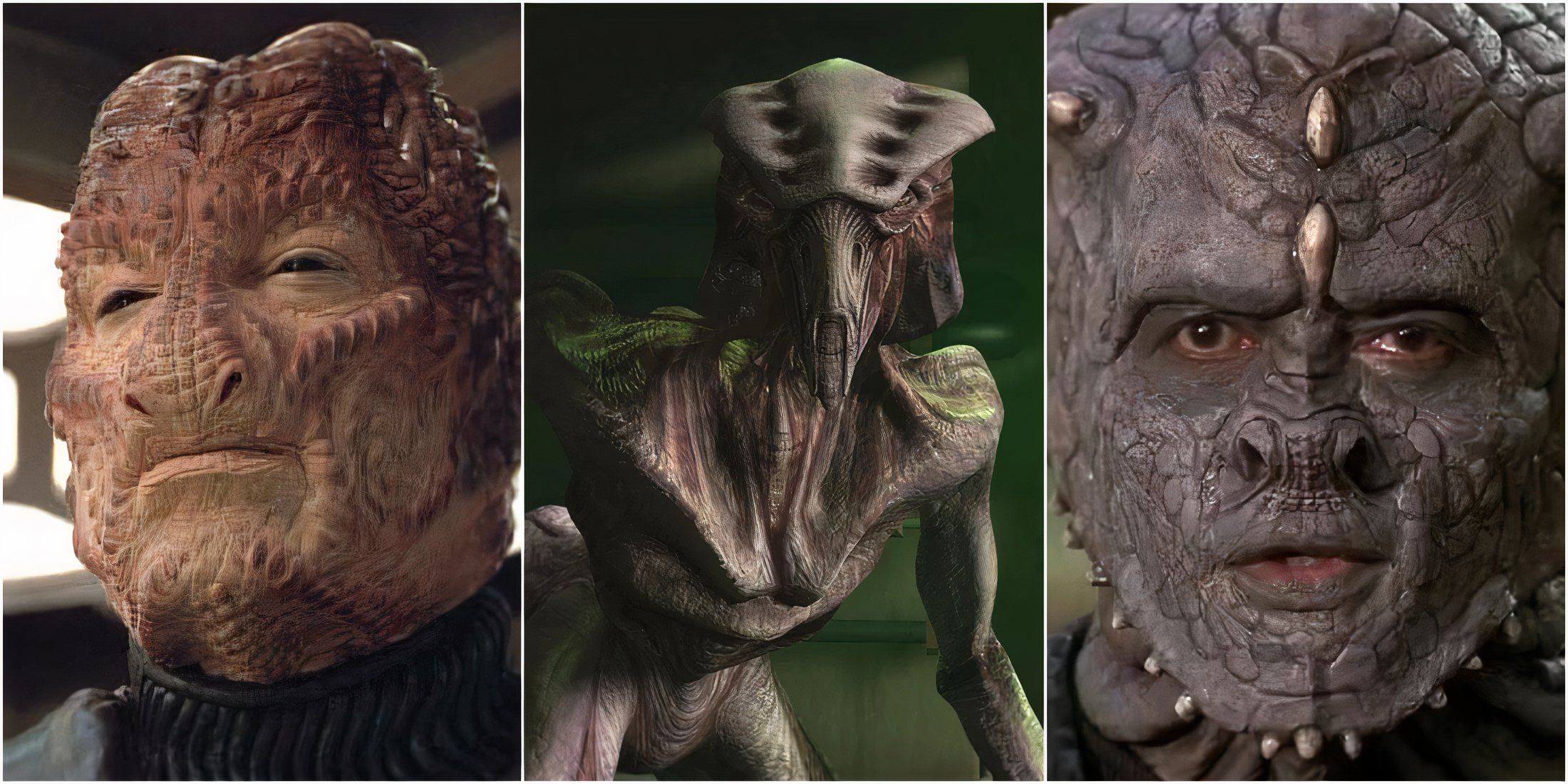 Strongest Species In Star Trek