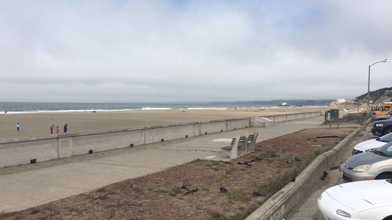 Coastal hazard warning issued for Bay Area coastline