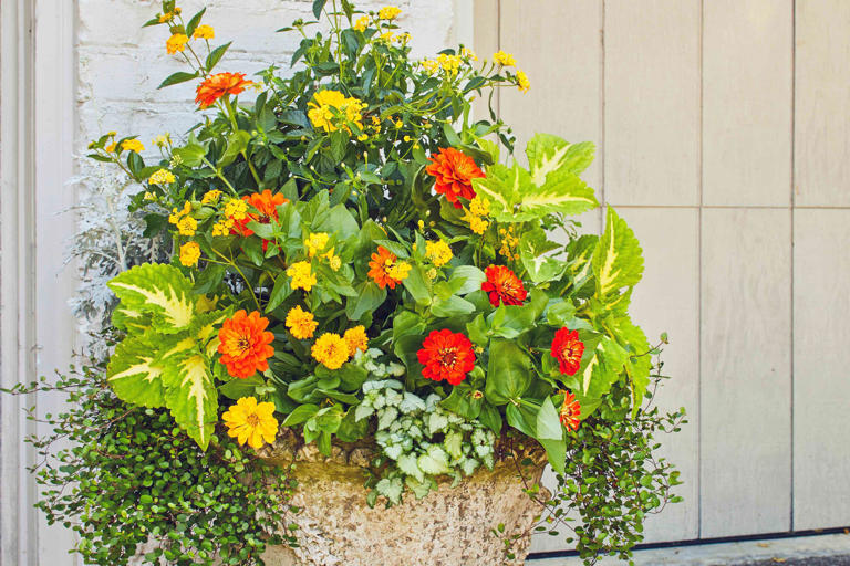 Photography: Laurey Glenn / Styling: BUFFY HARGETT MILLER