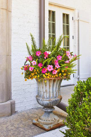 Photography: Laurey Glenn / Styling: BUFFY HARGETT MILLER