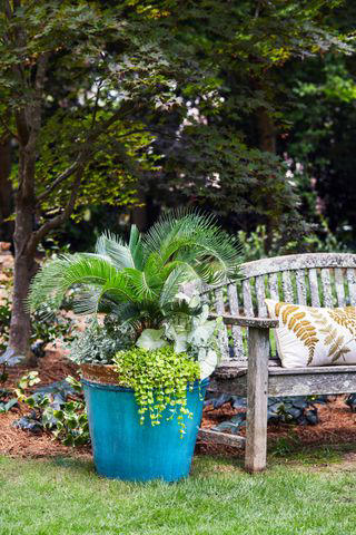 Photography: Laurey Glenn / Styling: BUFFY HARGETT MILLER