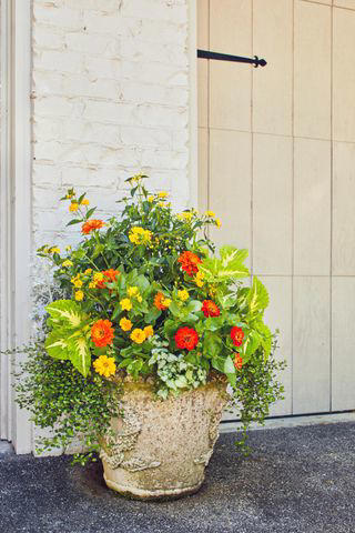 Photography: Laurey Glenn / Styling: BUFFY HARGETT MILLER