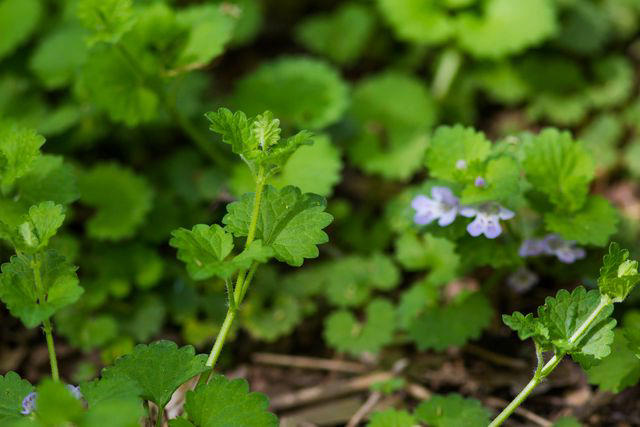 Melissa McMasters/Flickr/CC By 2.0