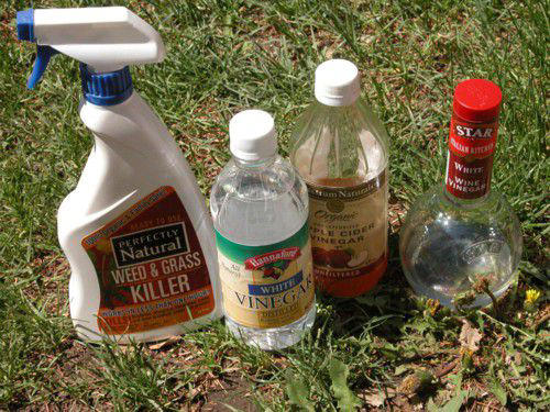 Photo: © Marie Iannotti (2008) licensed to About.com, Inc.