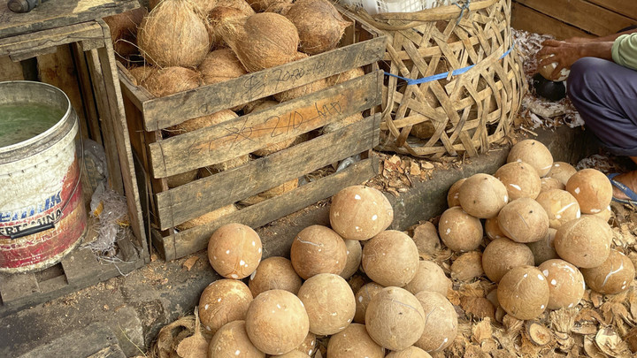 Harga Kelapa Bulat Ditetapkan Rp 6.000 per Butir