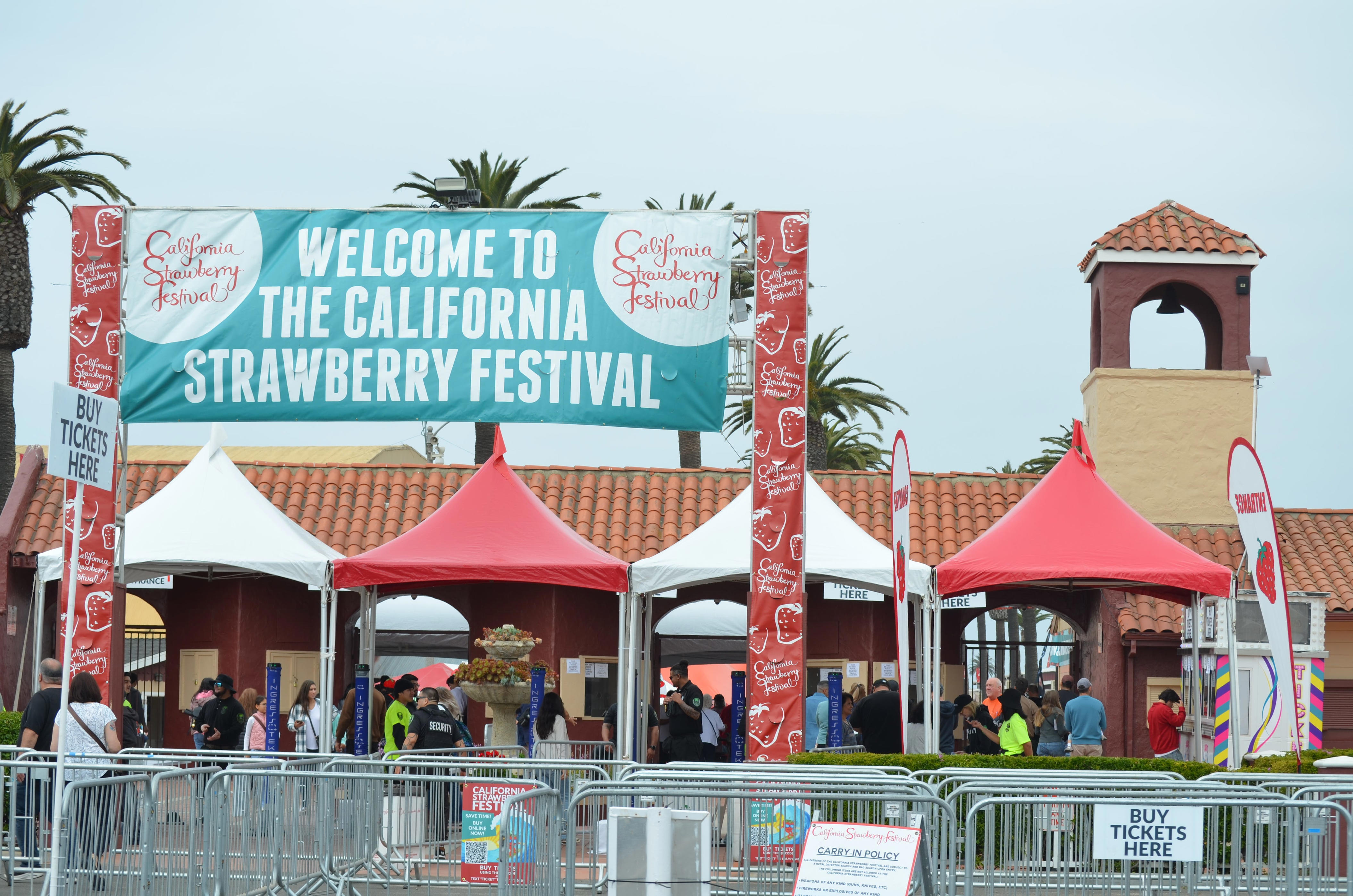 Celebrating more than strawberries at annual festival | Your turn