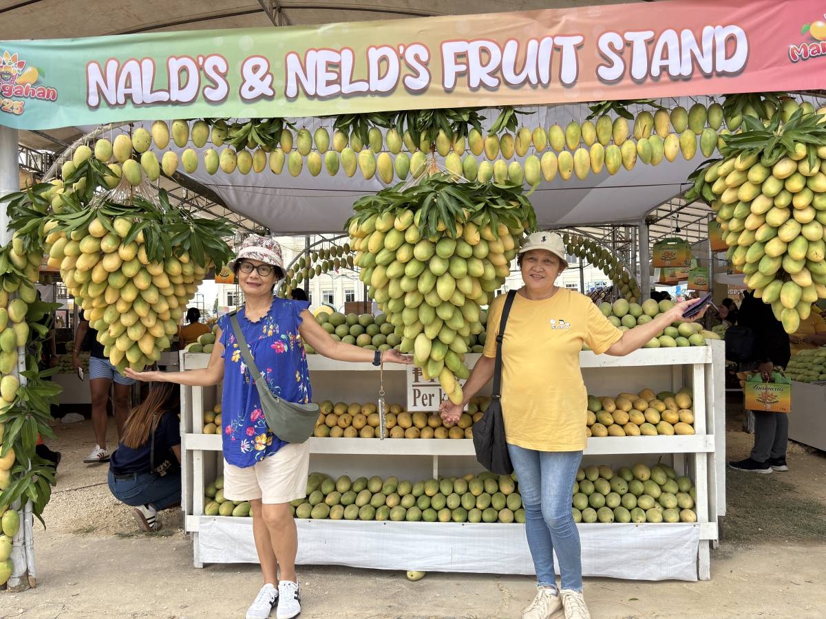 Delectable mangoes showcased in Guimaras festival