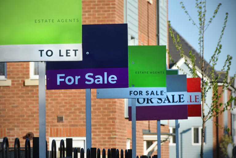 Nearly a third of homeowners believe they have yet to find their forever home (Getty/iStock)