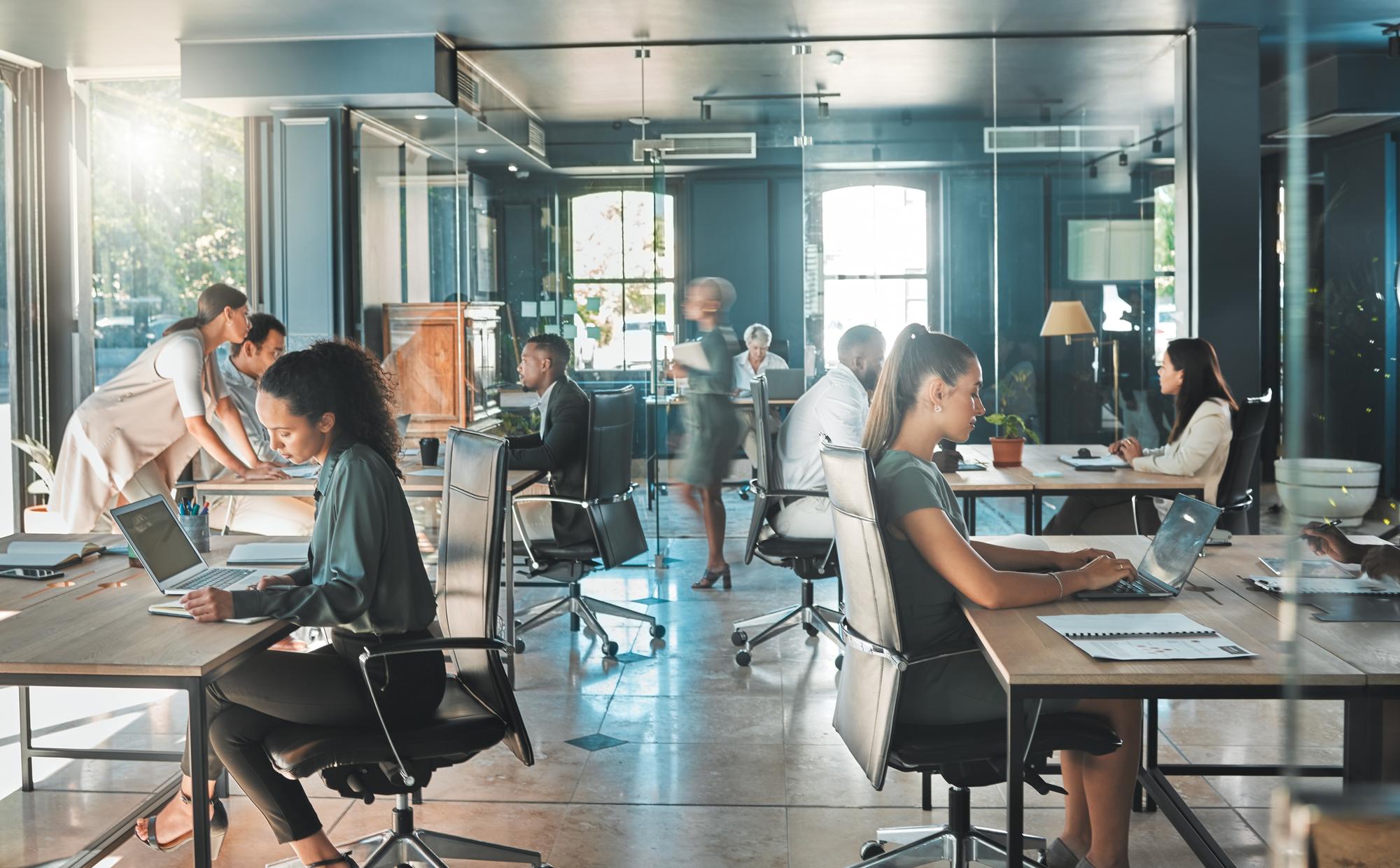 Focus on four key areas to ease SME growing pains