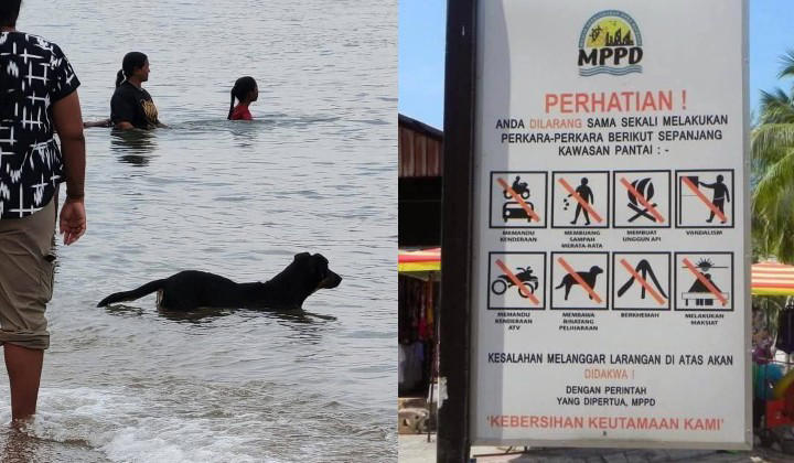 [Watch] Dog Swimming At Port Dickson Beach Causes Stir Among Muslim Visitors