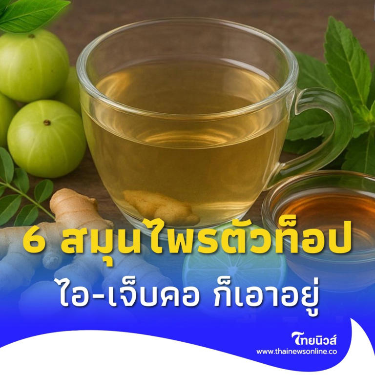 .6 สมุนไพรตัวท็อป ปราบไอ-ระคายคอ อยู่หมัดแบบไม่ต้องพึ่งยา.