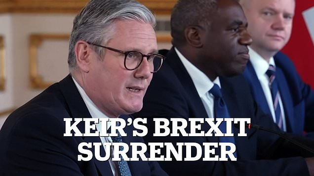 Keir Starmer Finally Unveils His Eu Reset Deal