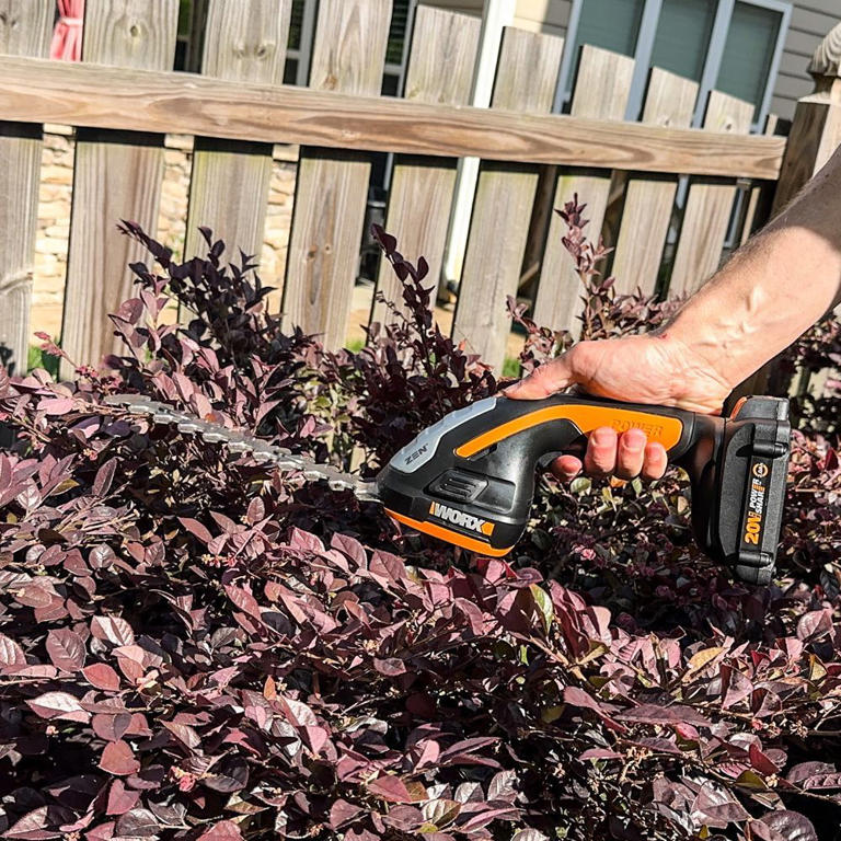 We tested the best hedge trimmers, and Husqvarna won for its effortless ...