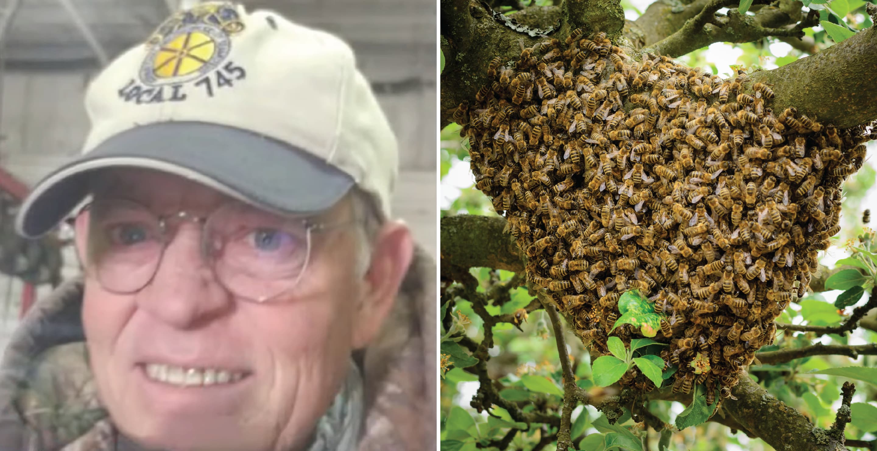Texas Man Stung To Death By Swarm Of Bees While Mowing Lawn