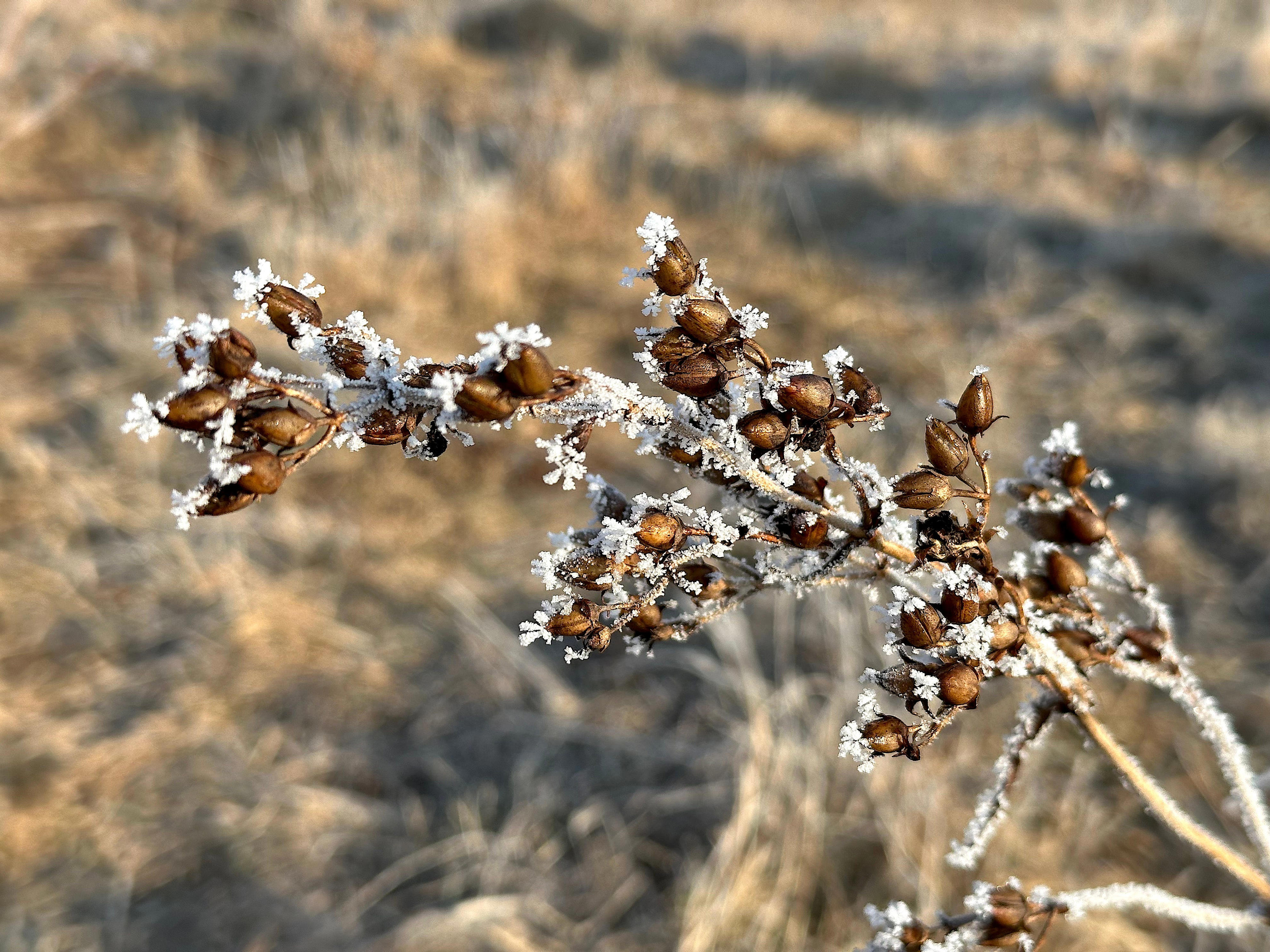 Still waiting for spring? Here's when freezing temps end in Milwaukee