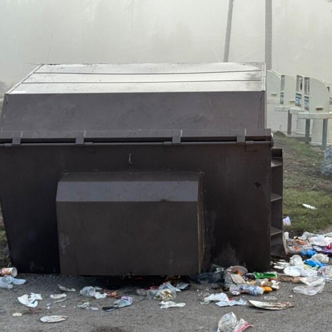 Grizzly killed in Yellowstone after seeking food, flipping dumpsters