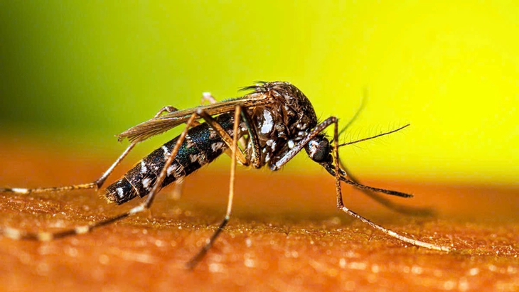 Chưa vào mùa cao điểm, Đồng Nai ghi nhận sốt xuất huyết Dengue gia tăng