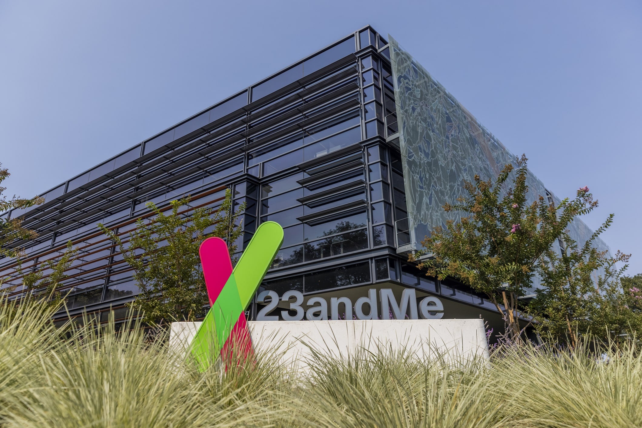 Regeneron buys bankrupt 23andMe for 256m