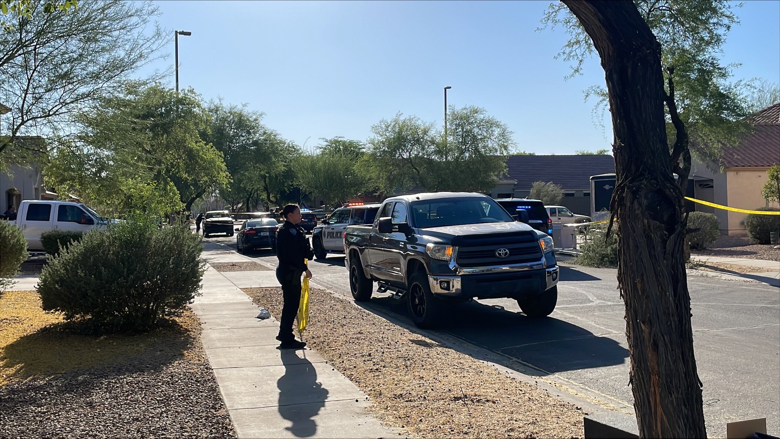 Gilbert renter accused of killing landscaper sent by landlord to trim trees