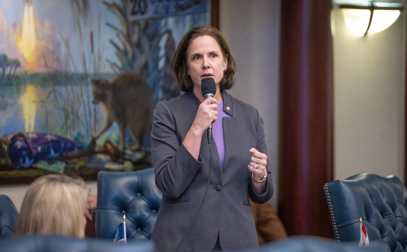 Privacy and parenting collide, Florida debates teen mental health care