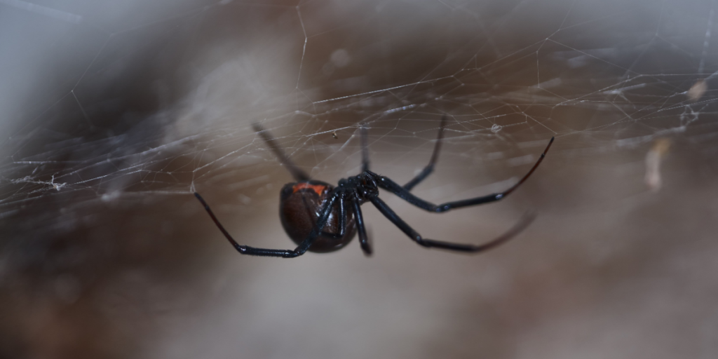 These Are The 10 Scariest Movies According To Science