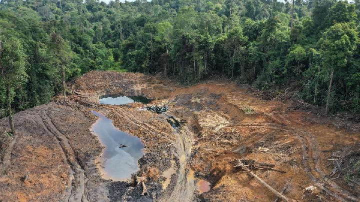 Detail denda perusahaan tambang yang melanggar hutan