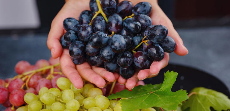 العنب بألوانه الرائعة