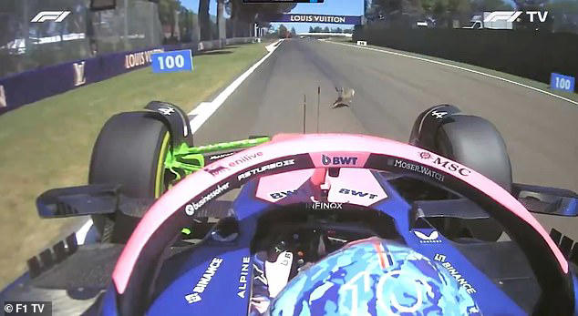 Shocking moment child is knocked over by sprinter after jumping onto ...