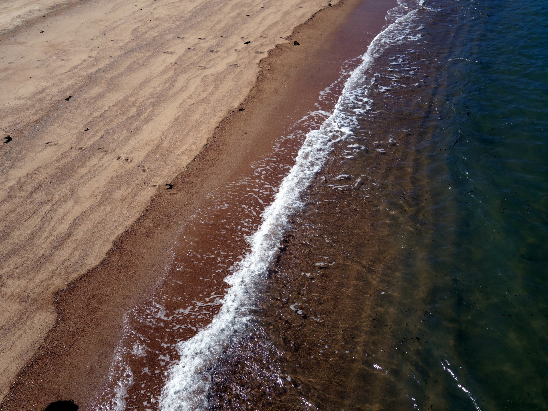 Can We Survive A Flip Of The Earth S Magnetic Poles