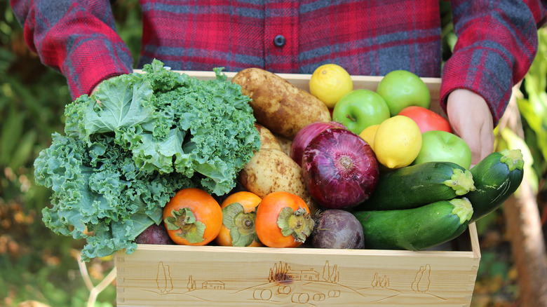 Everything You Need To Know Before Signing Up For A CSA