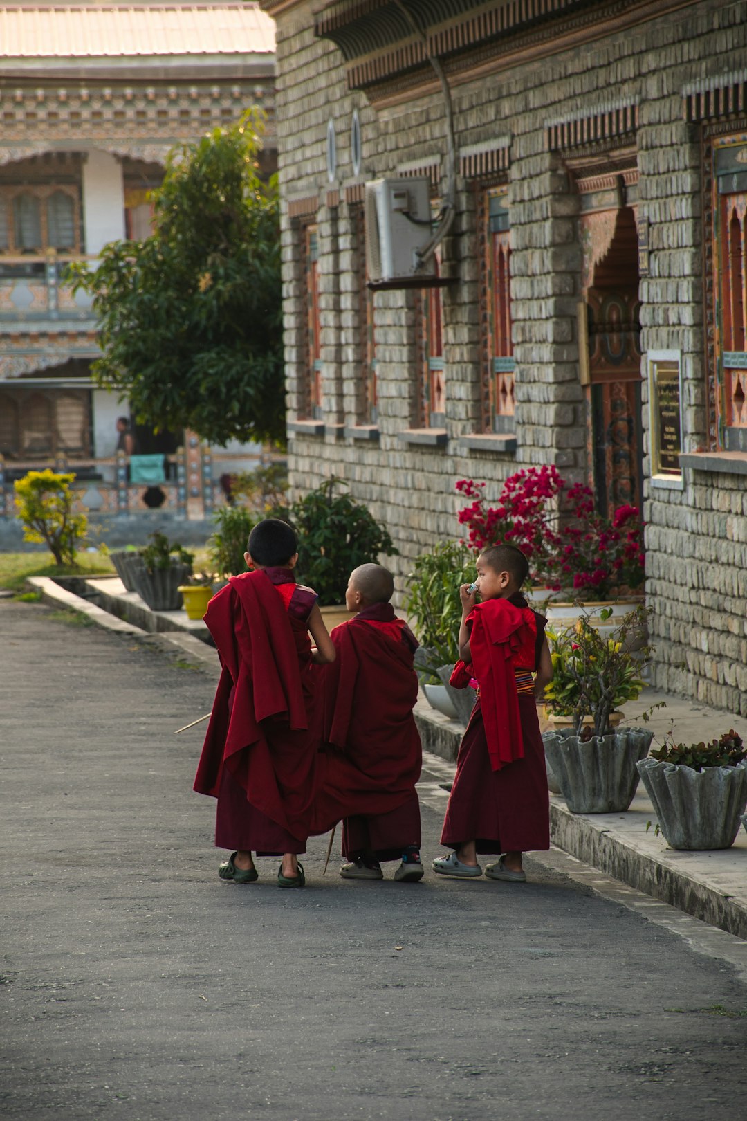 HURRY! Now Is the Time to Plant These Vegetables, Fruits, and Herbs