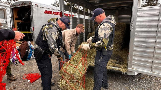 Animal welfare investigation leads to seizure of 310 animals in Oregon